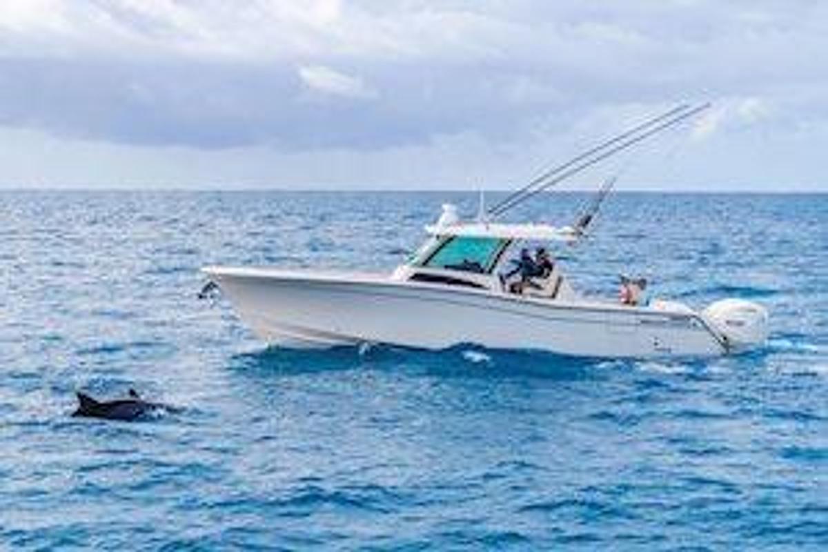 2026 Grady-White Canyon 386