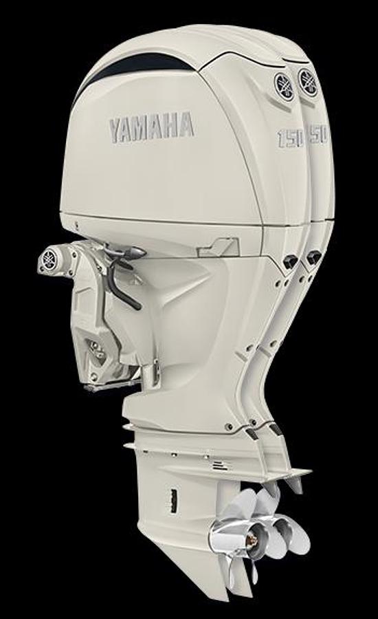 Freedom 255
25' DUAL CONSOLE