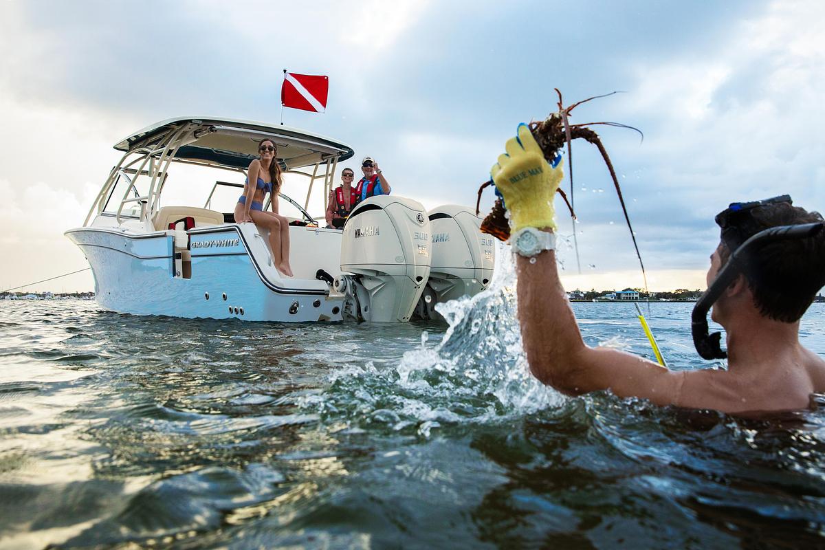 Freedom 307
30' DUAL CONSOLE