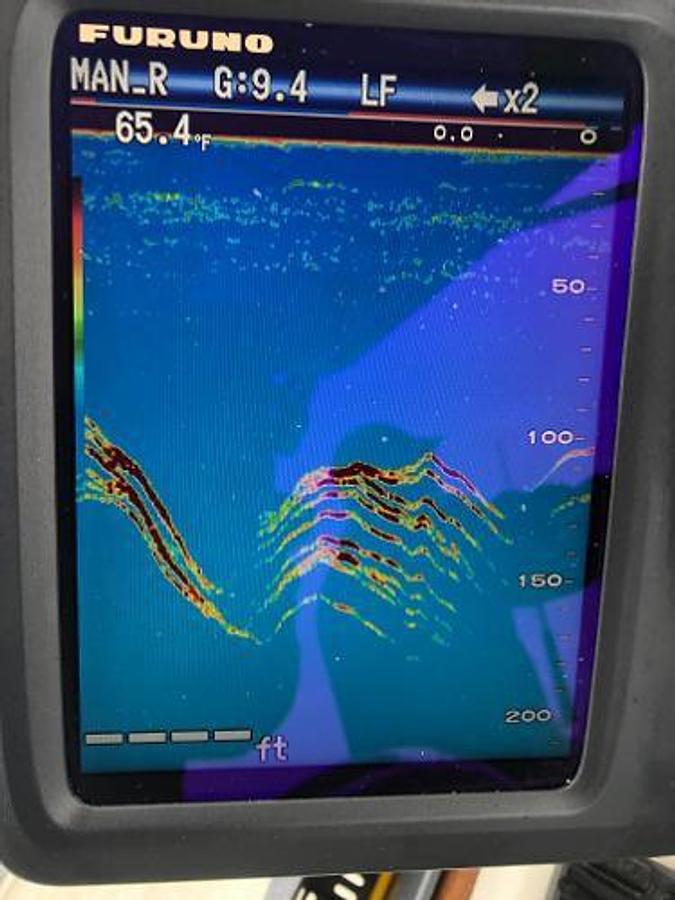 Used 1979 Chaparral 224 Fisherman