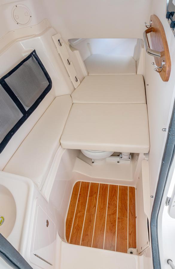 Freedom 307
30' DUAL CONSOLE
