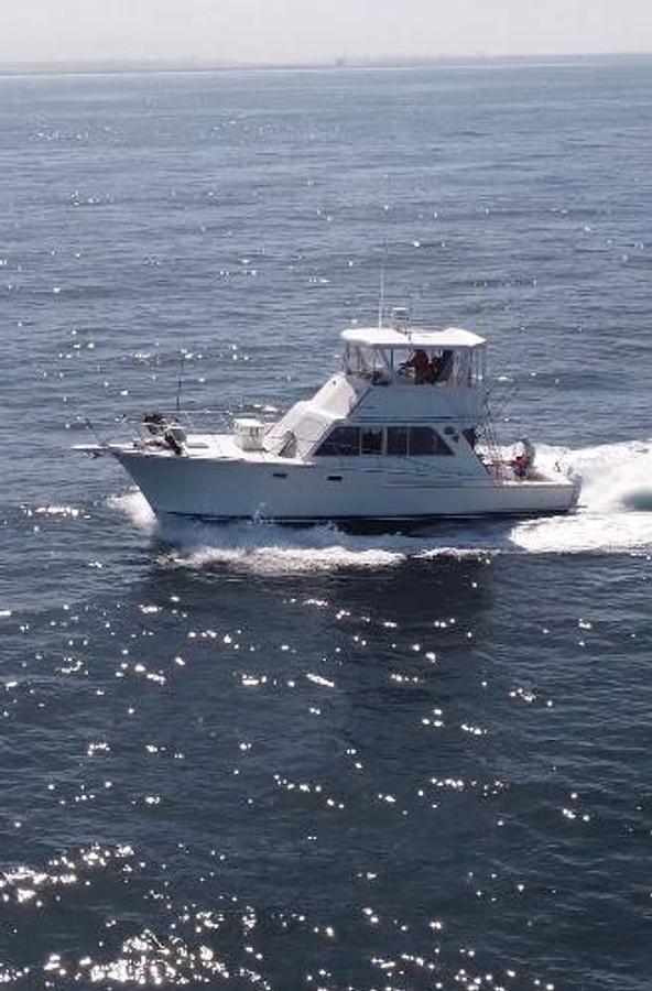 Used 1988 Jersey 40FT Convertible