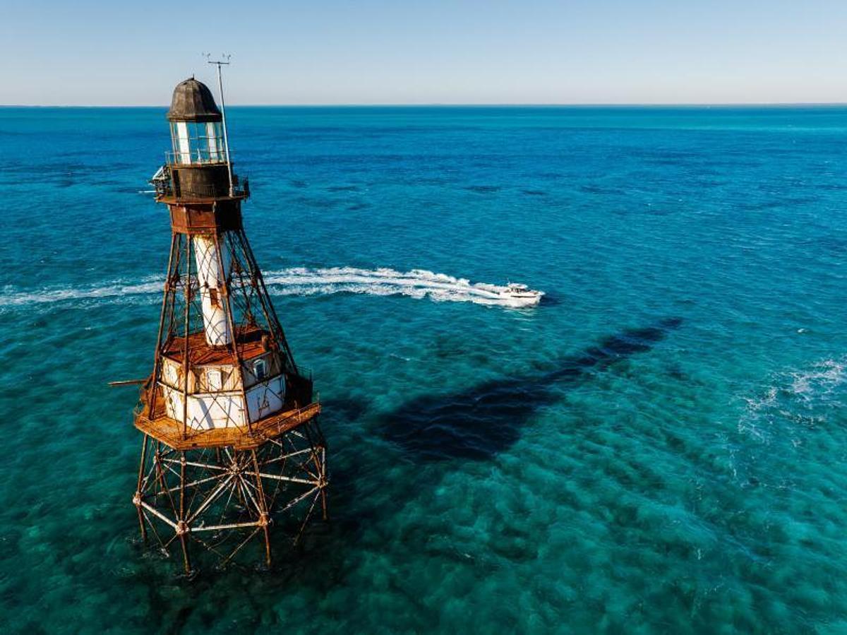 2026 Jeanneau NC 895 S2