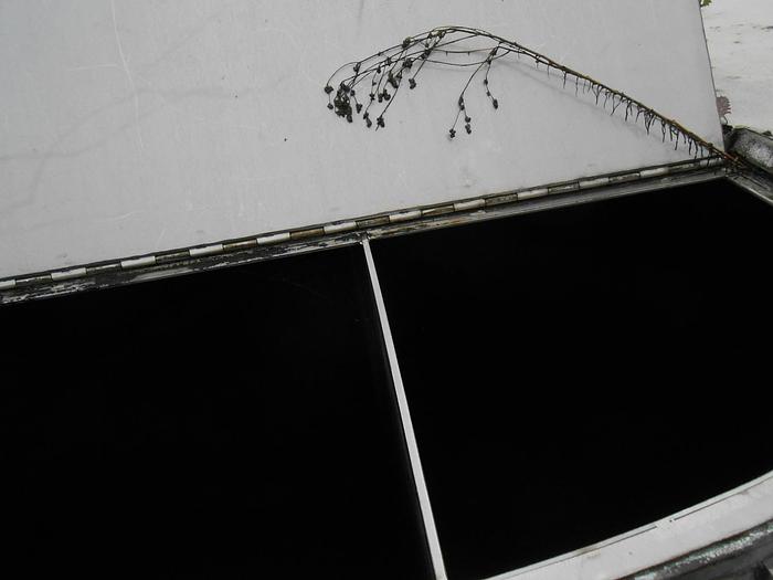 Used Tank, 3,000 Gallon, S/st, 10'6" x 4'9", Vertical #C742200