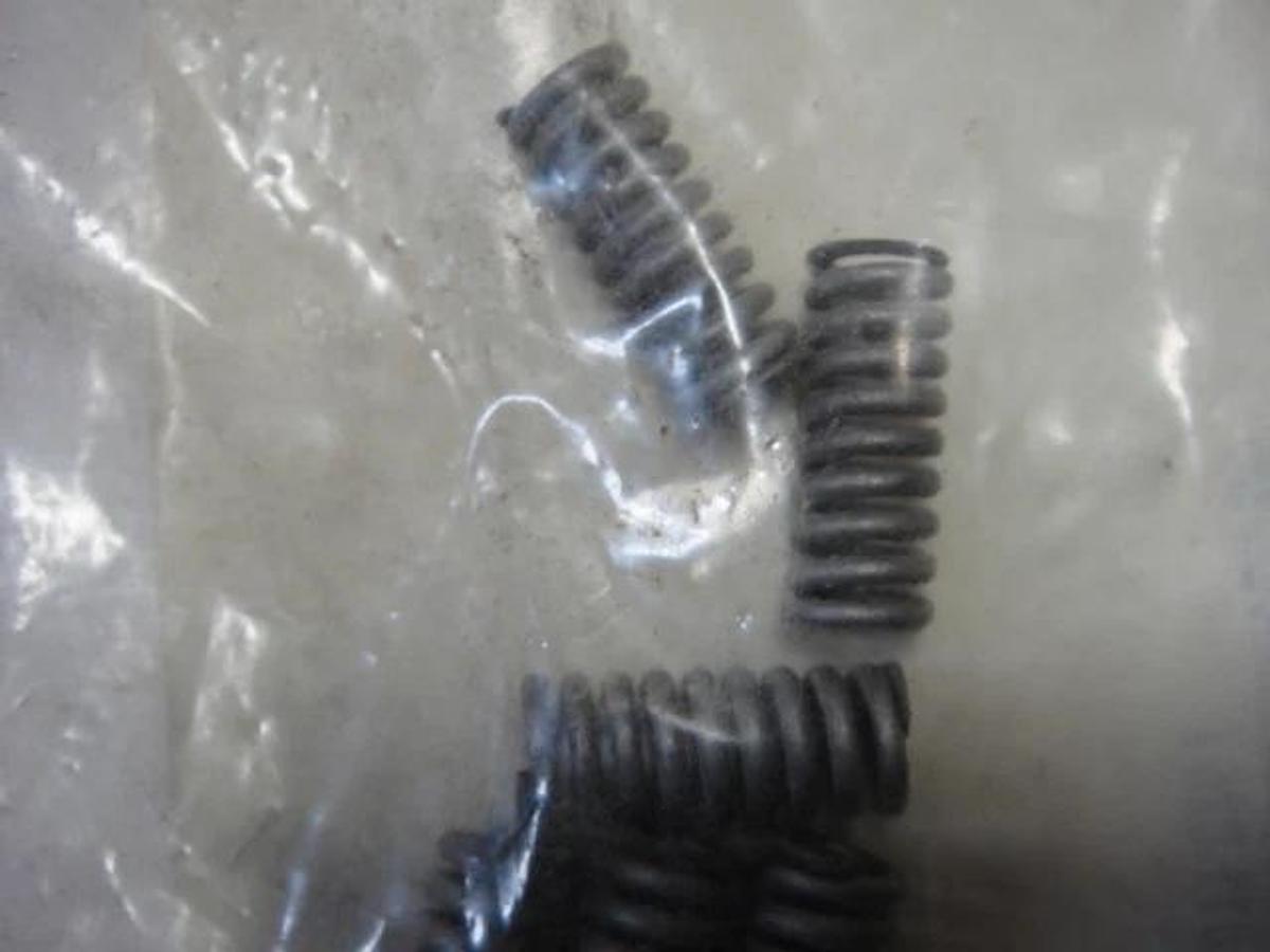 Heidelberg Spring, Part #HDM0088800080009935