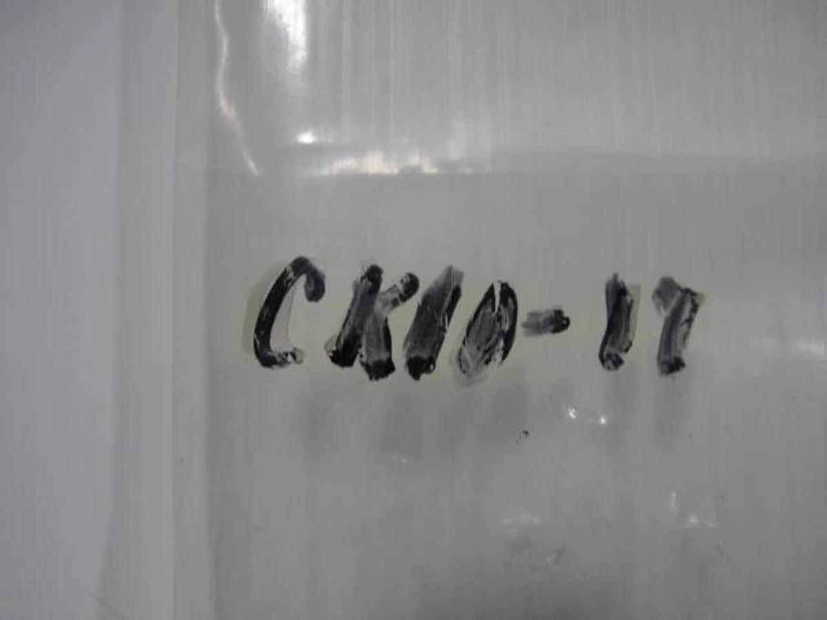 Hamada Spring, Part #CK10-17