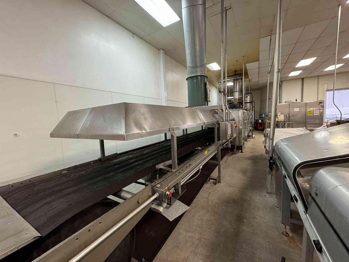 Used APV BAKER TUNNEL OVEN