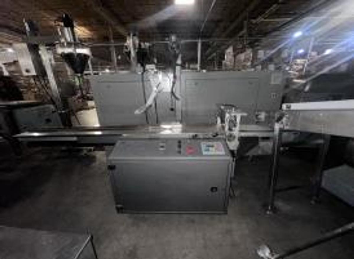 Used PFM Hawk Horizontal Flow Wrapper