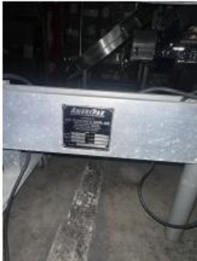 Used Ameripak ALS Rotary Accumulation Table