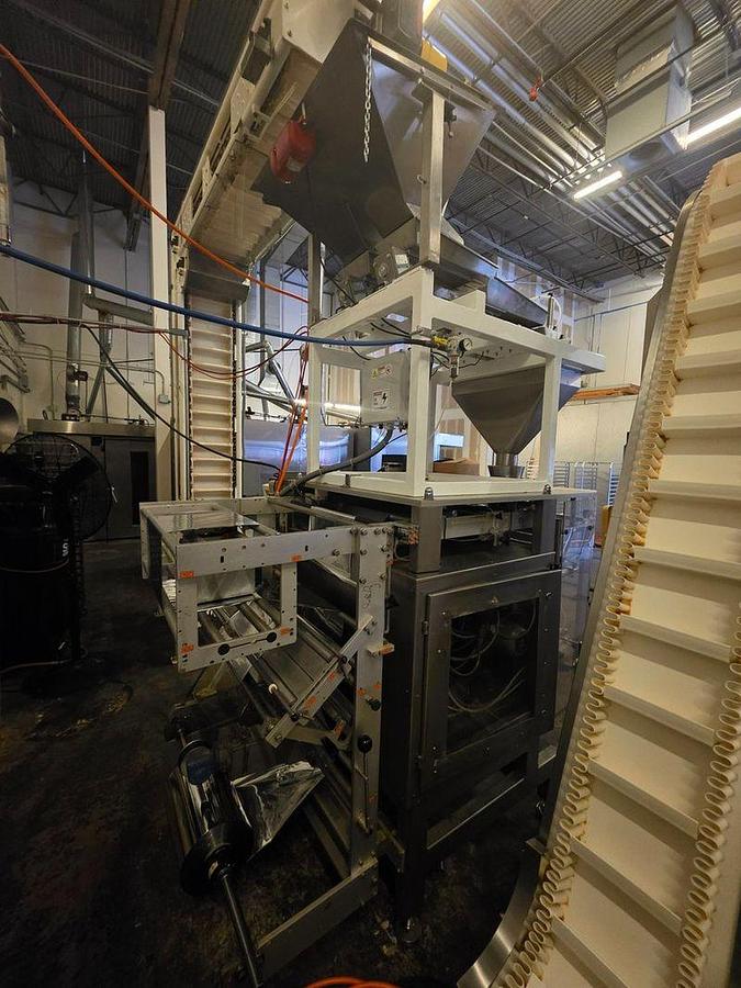 Used Viking Masek M250 Vertical Form Fill Seal Line