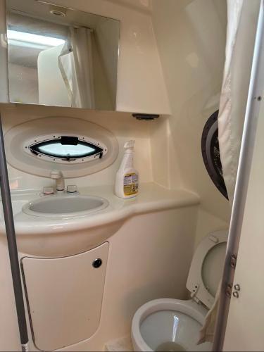 Used 2006 Bayliner 265