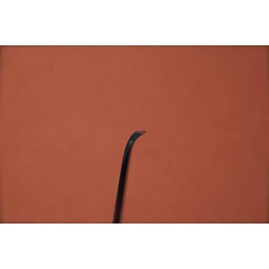 RUGINE DE MERLE AUBIGNE COURBE 20cm - 5mm (CURVED AUBIGNE BONE RASPATORY 20cm - 5mm)