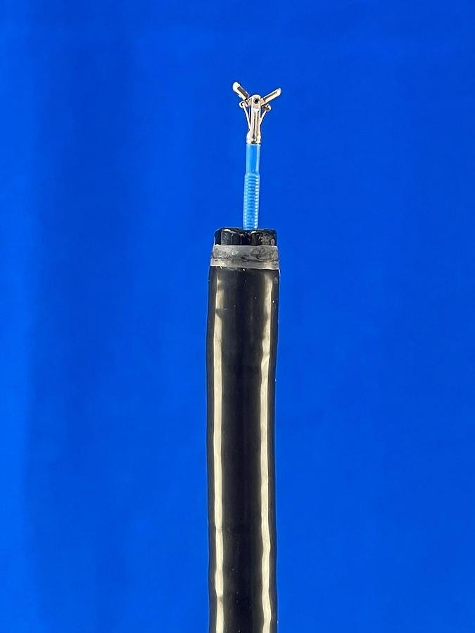 Used