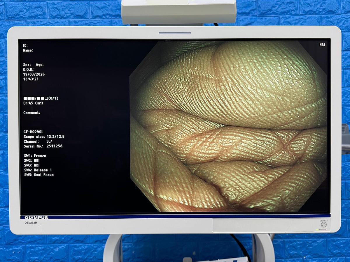 Used Olympus CF-HQ290L Colonoscope