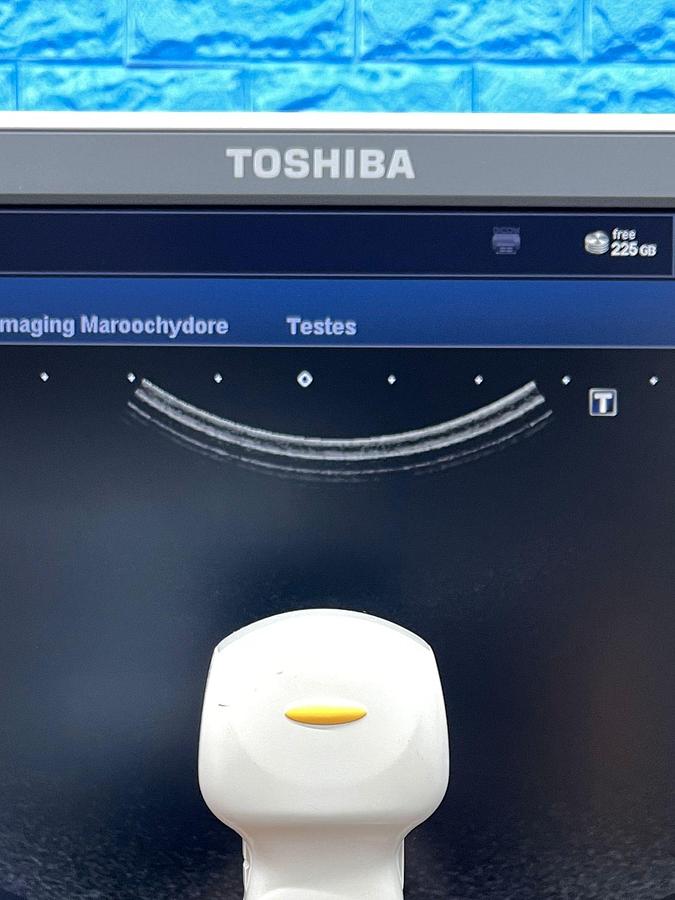 Used Toshiba Ultrasound Aplio 500 YOM: 2015