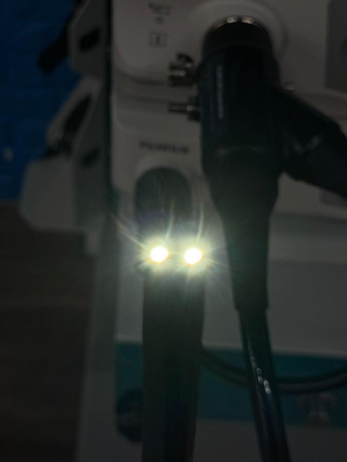 Used