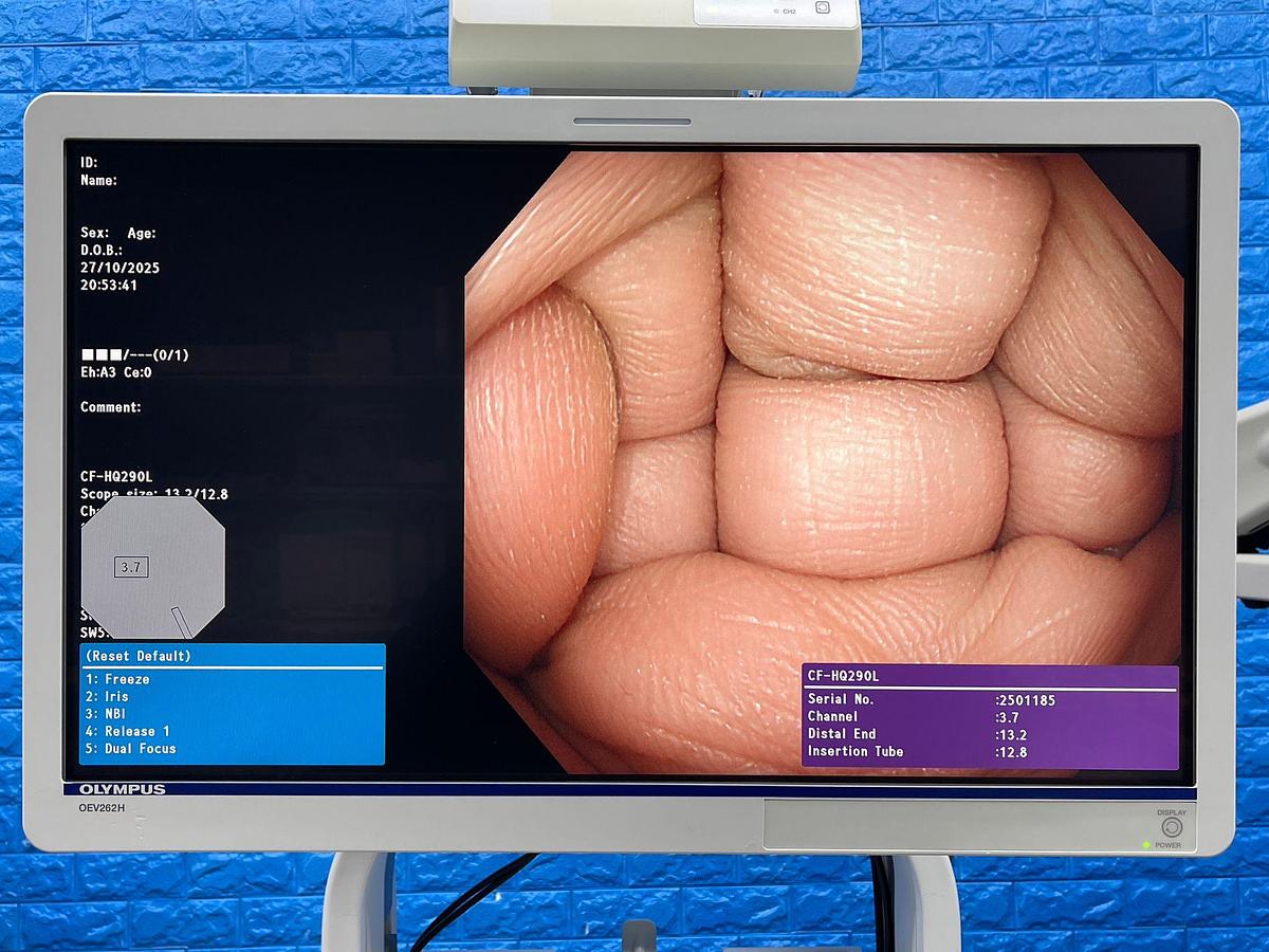 Used Olympus CF-HQ290L Colonoscope