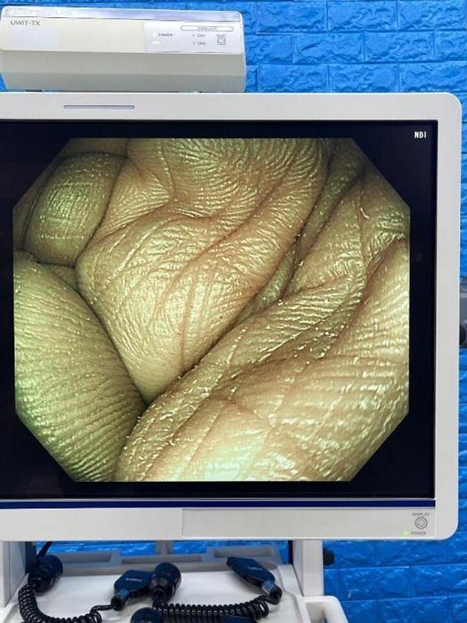 Used - OLYMPUS PCF-H290DL