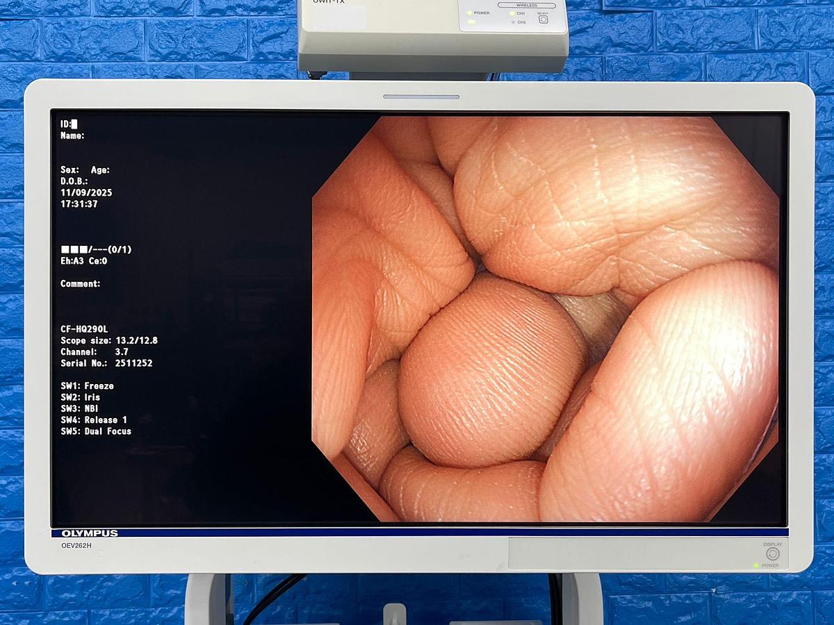 Used Scope Model: CF-HQ290L