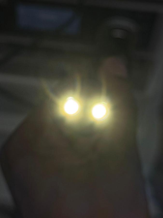 Used Karl Storz 13925 PKS Colonoscope