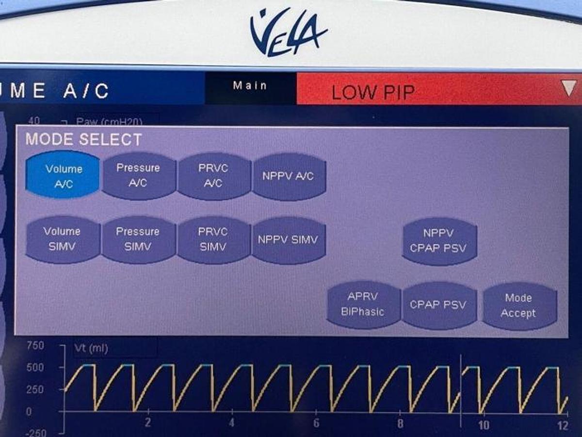 Used - VIASYS Vela