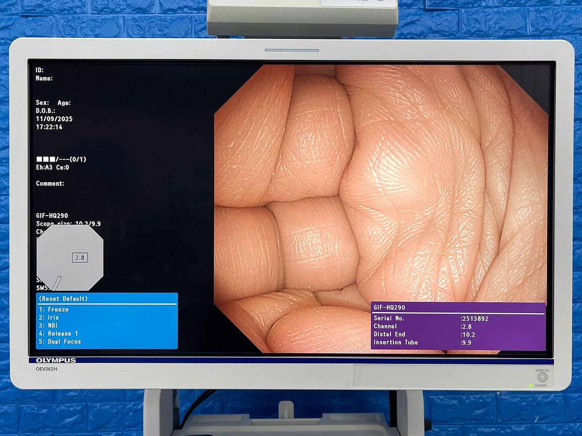 Used Olympus Scope Model: GIF -HQ290 