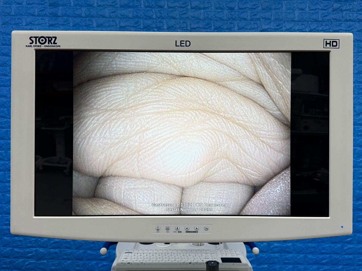 Used Karl Storz 13821 PKS Gastroscope
