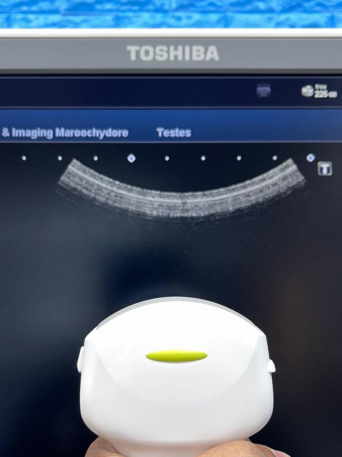 Used Toshiba Ultrasound Aplio 500 YOM: 2015