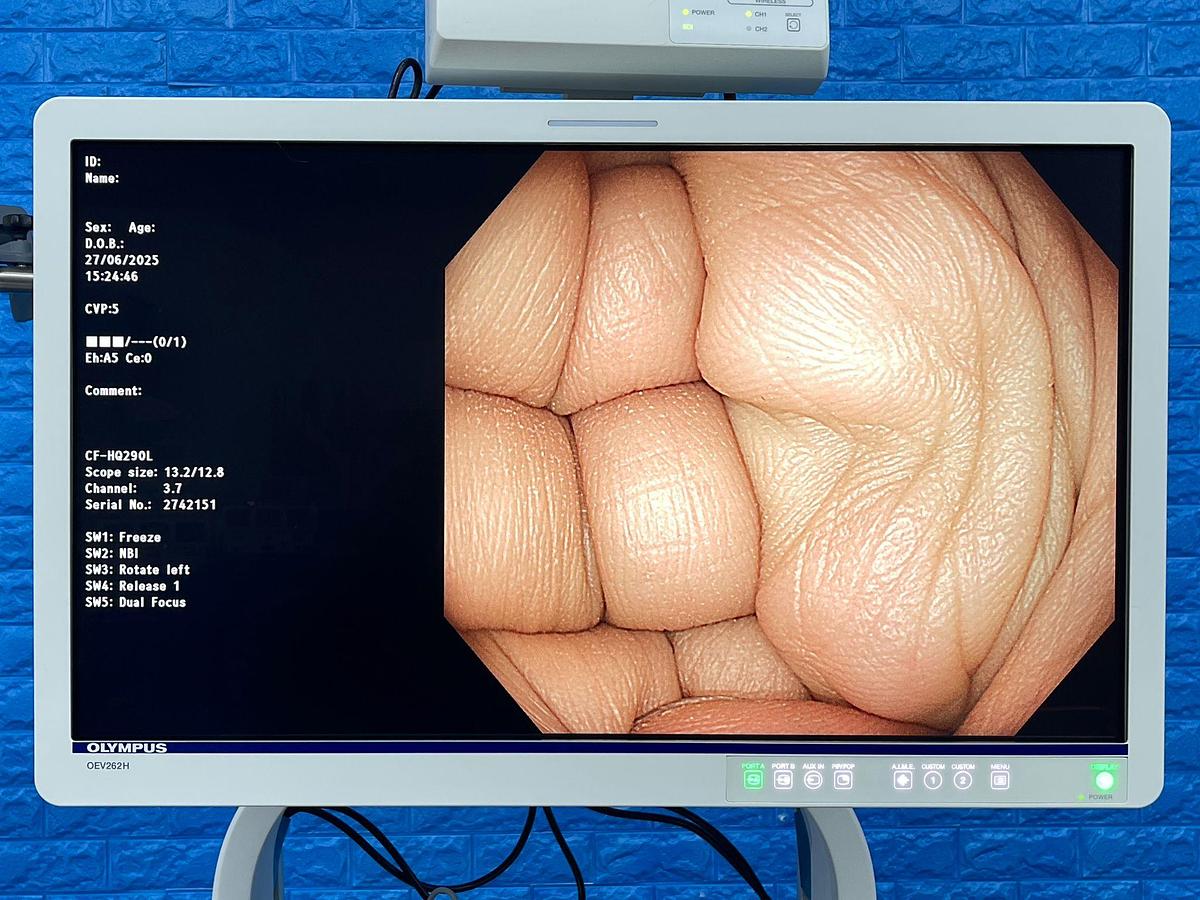 Used Olympus CF-HQ290L Colonoscope