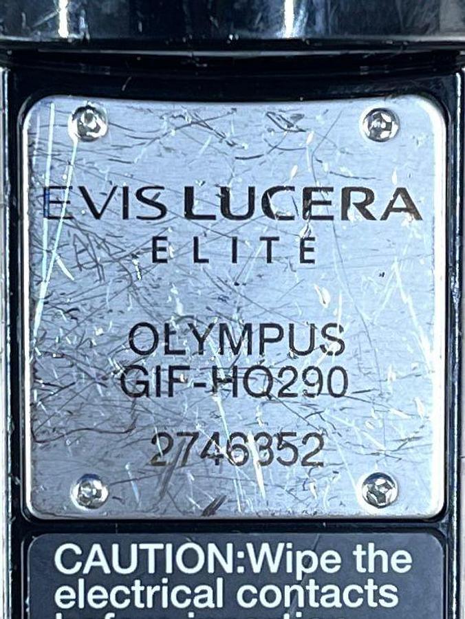 Used Olympus GIF-HQ290 Gastroscope