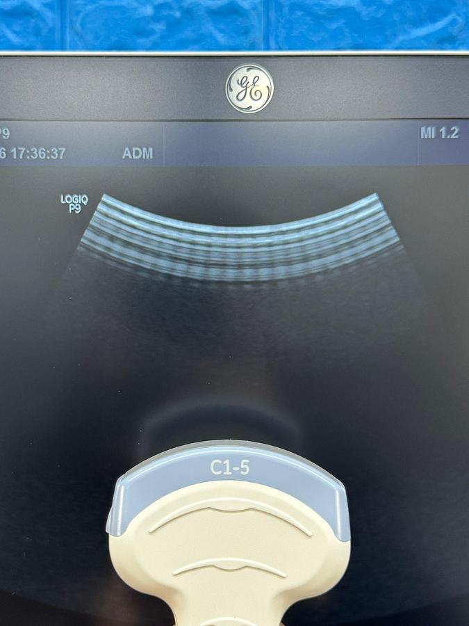 Used GE LOGIQ P9 YOM: 2016 R1 with Convex C1-5-RS YOM: 2022 and Linear Probe 9L-RS YOM: 2018