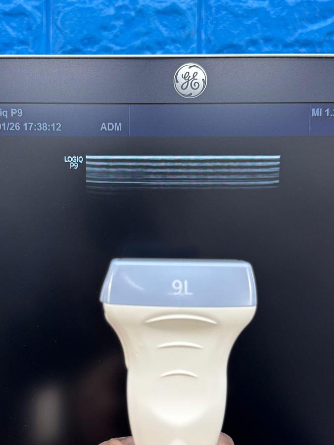 Used GE LOGIQ P9 YOM: 2016 R1 with Convex C1-5-RS YOM: 2022 and Linear Probe 9L-RS YOM: 2018