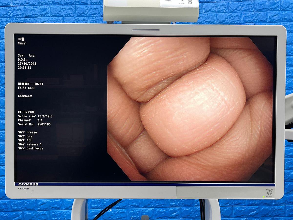 Used Olympus CF-HQ290L Colonoscope