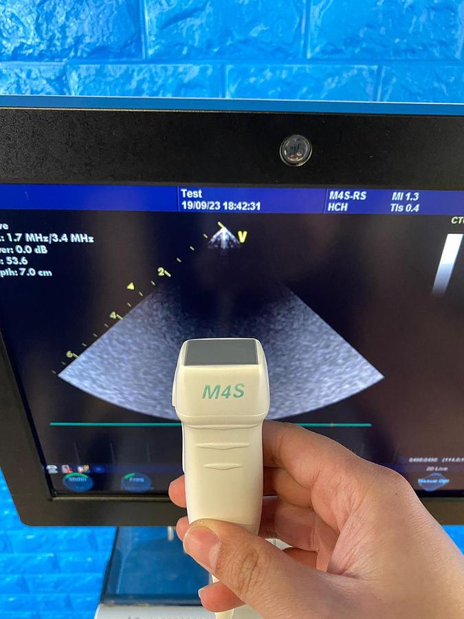 Used GE Vivid S6 Cardiovascular ultrasound system YOM: 2013