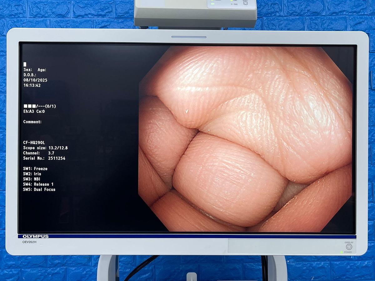 Used Olympus scope Model: CF-HQ290L 