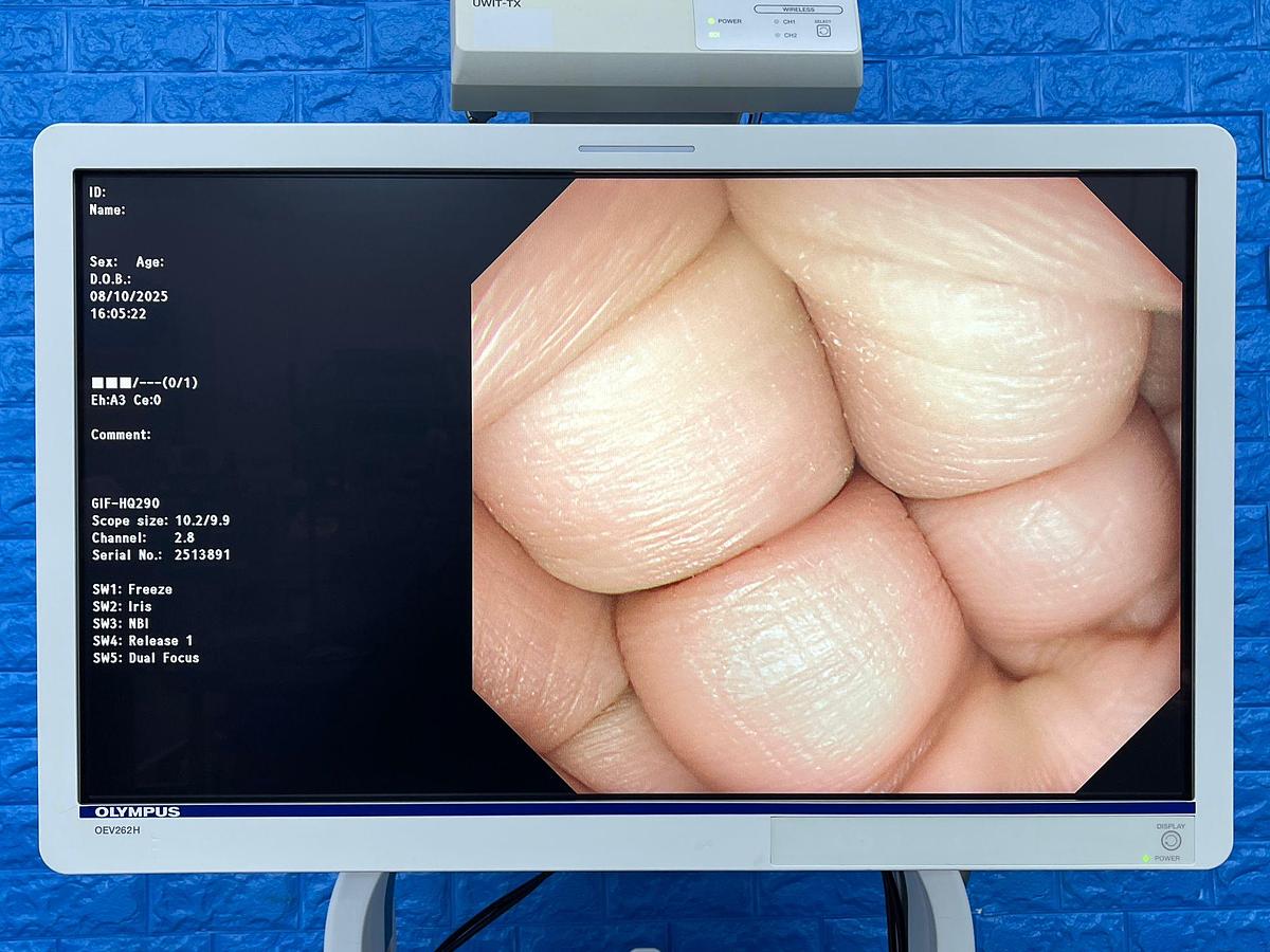 Used Olympus scope Model: GIF-HQ290