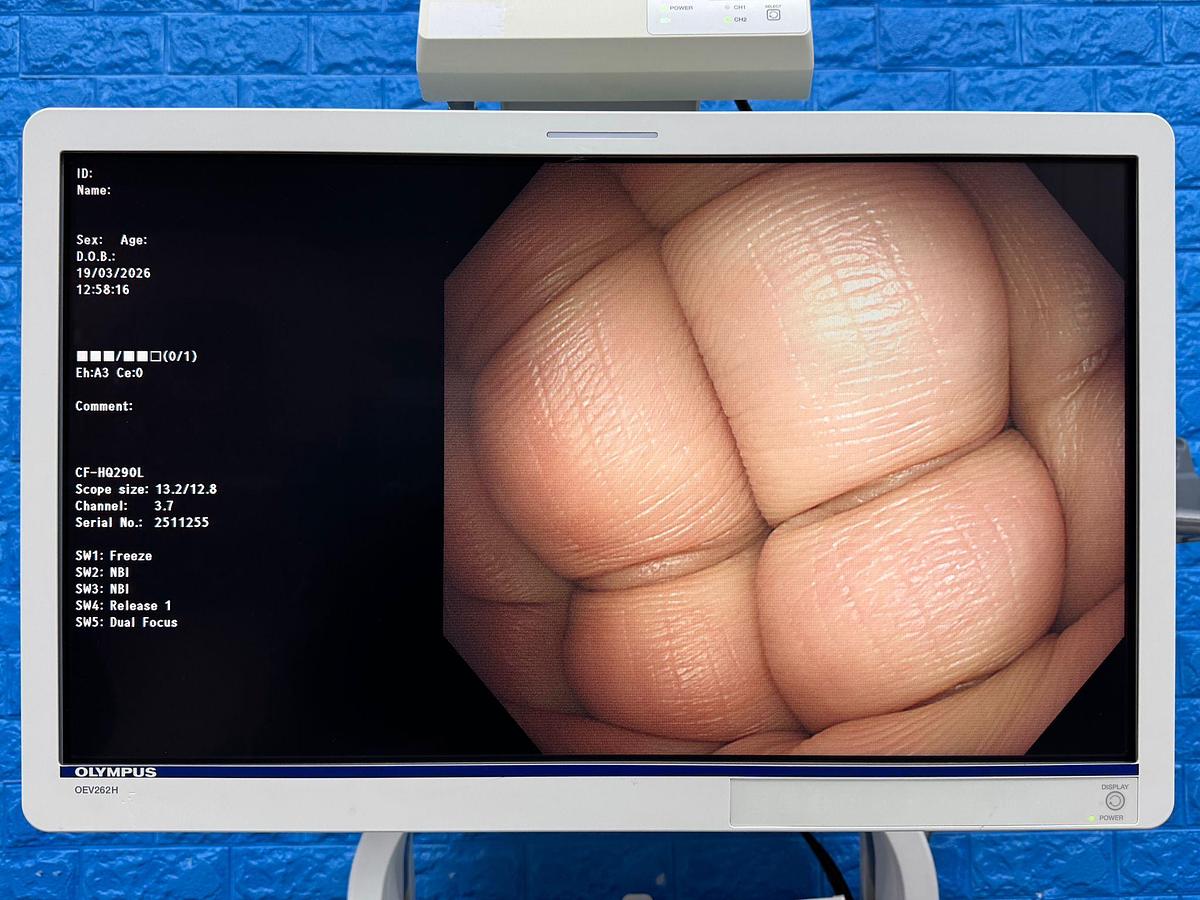 Used  Olympus Scope  Model: CF-HQ290L