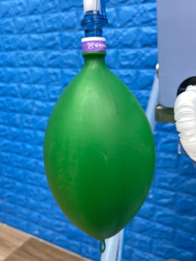 Used Viasys Avea Ventilator YOM: 2017