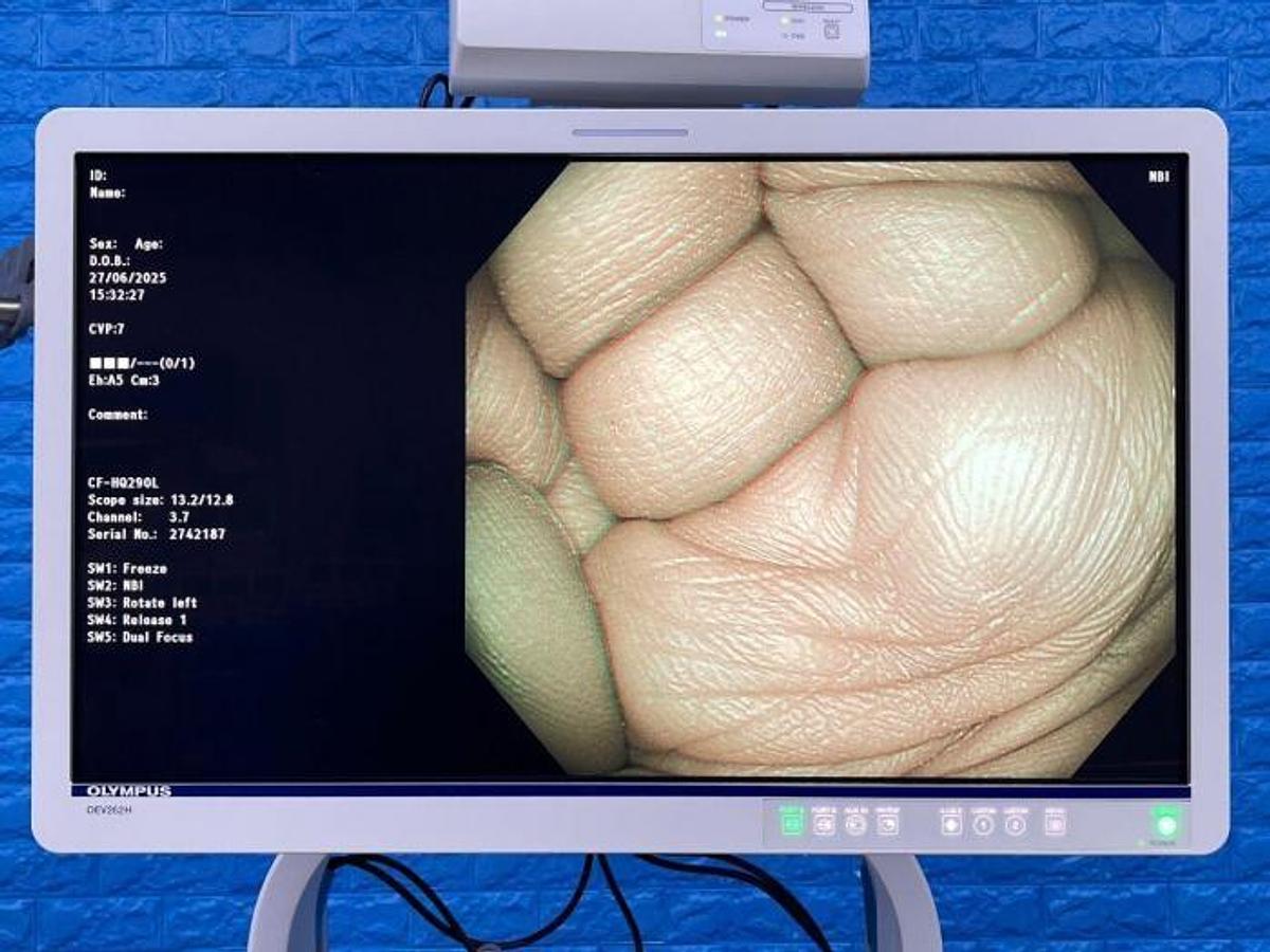 Used - OLYMPUS CF-HQ290L/I