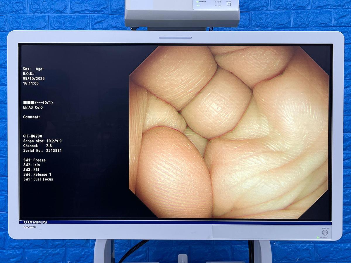 Used Olympus scope Model: GIF-HQ290