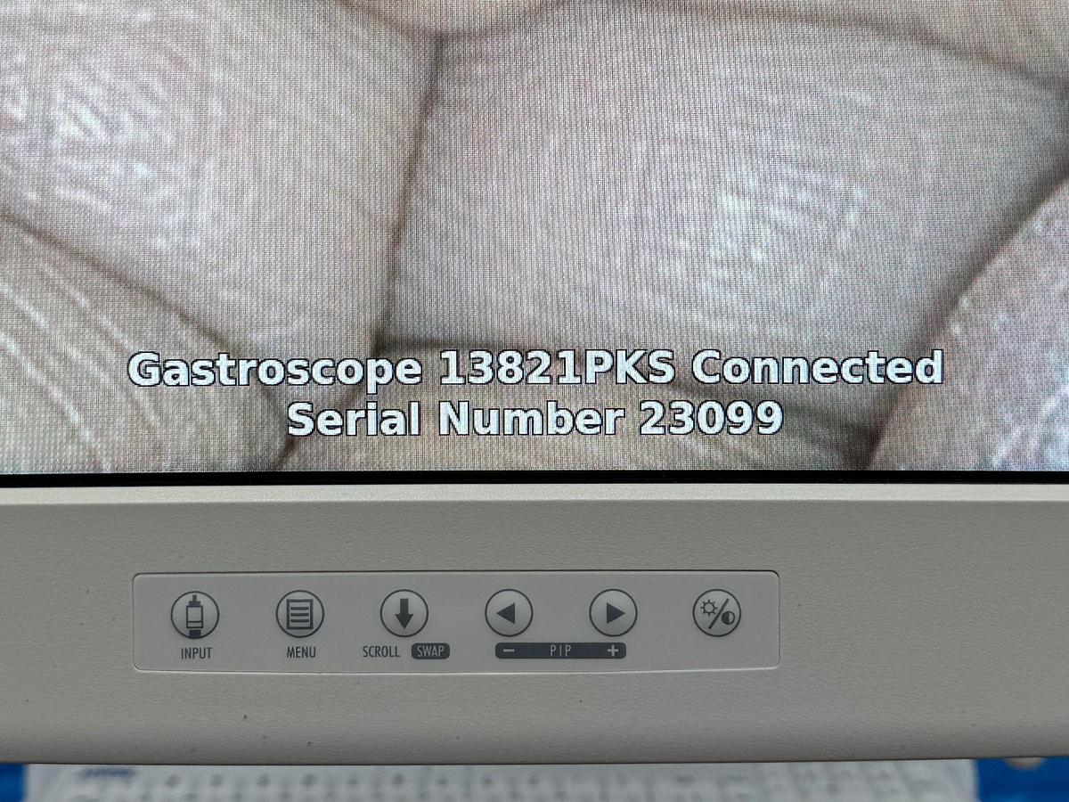 Used Karl Storz 13821 PKS Gastroscope