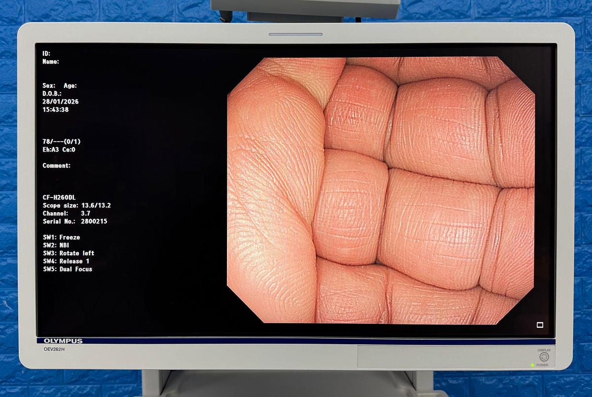 Used Olympus OEV262H LCD Monitor  