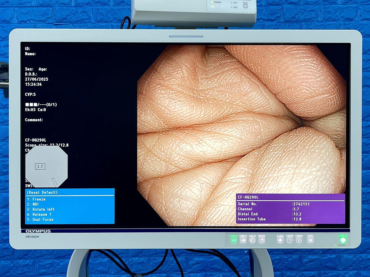 Used Olympus CF-HQ290L Colonoscope