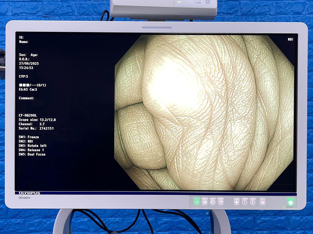 Used Olympus CF-HQ290L Colonoscope