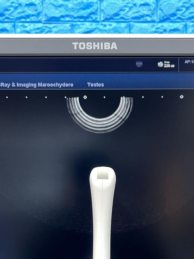 Used Toshiba Ultrasound Aplio 500 YOM: 2015