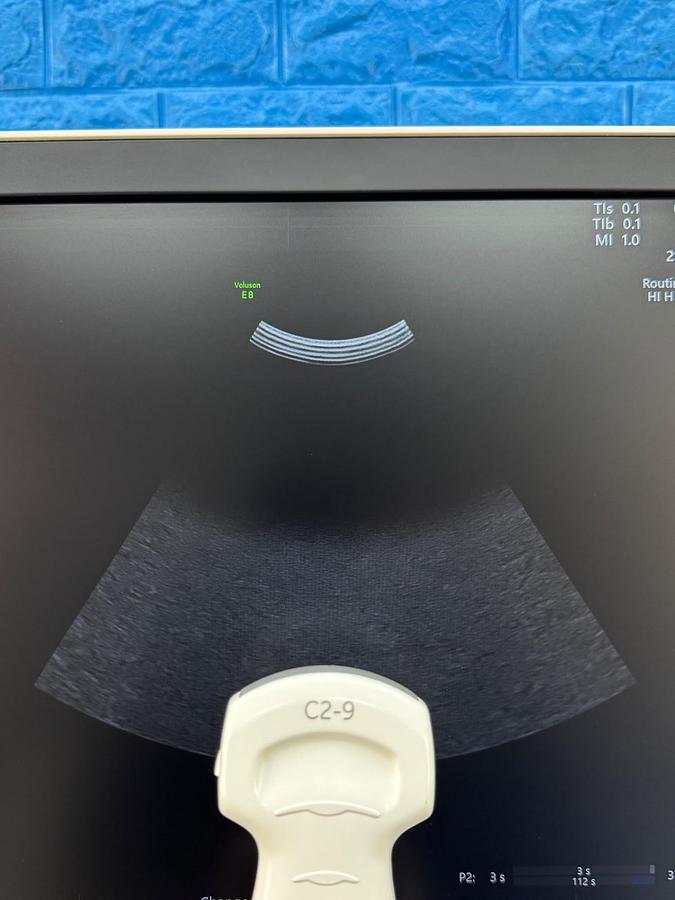 Used GE Voluson E8 Ultrasound YOM: 2019  