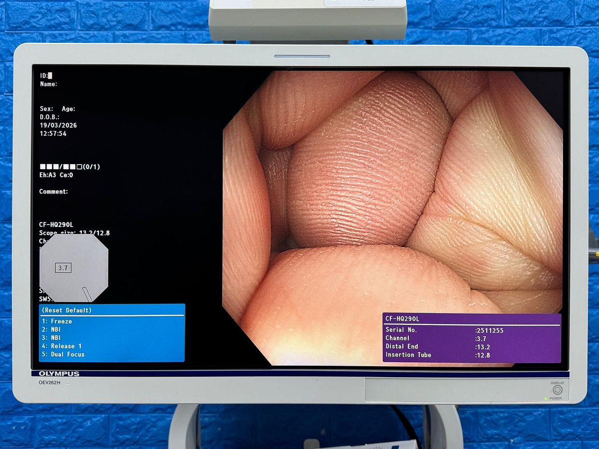 Used Olympus CF-HQ290L Colonoscope