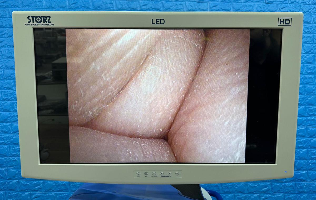 Used