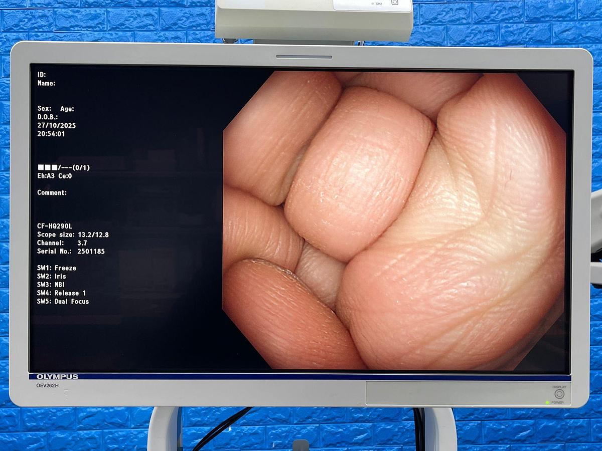 Used Olympus CF-HQ290L Colonoscope