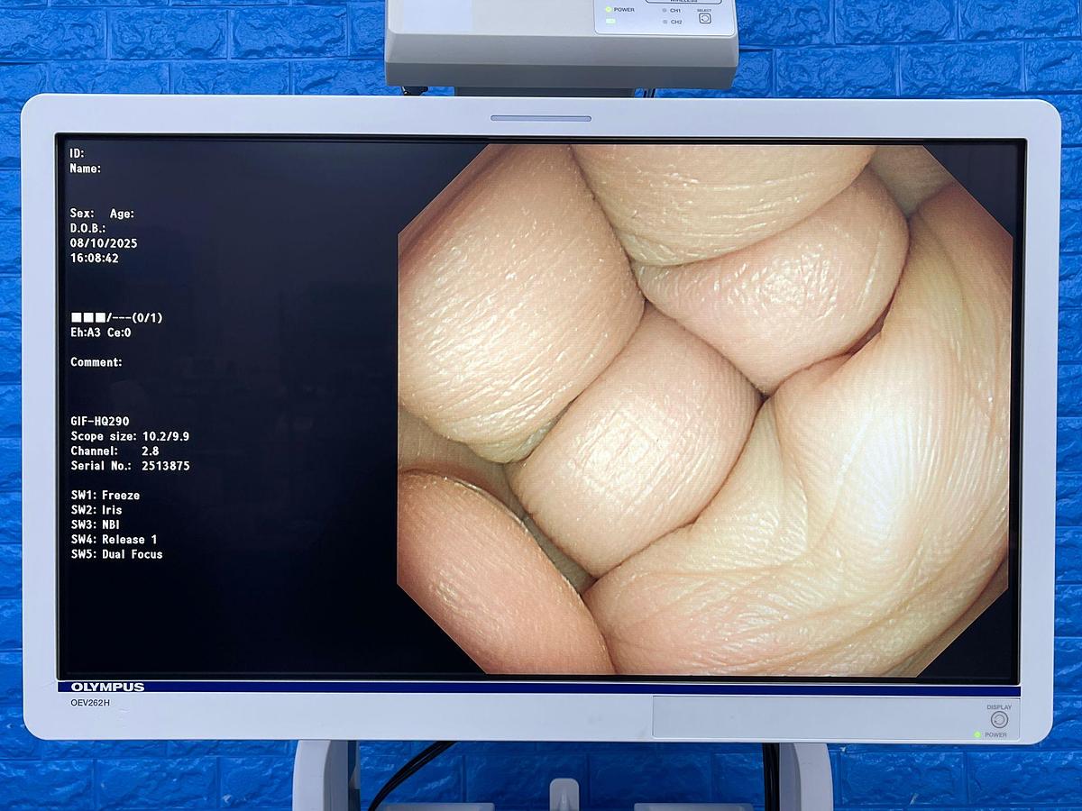 Used Olympus scope Model: GIF-HQ290